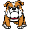 Bulldog Dog Gift Dog Lover