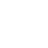Master Falconer