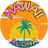 Hawaii Aloha Sunset with Palm Tree