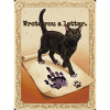 Wrote You A Letter Cat
