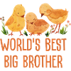 World's Best Big Brother