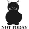 Not Today Cat Silhouette