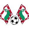 Meppel Football Flags – Soccer Pride