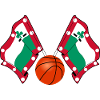 Meppel Basketball Flags – Hoops Pride