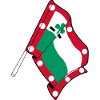 Meppel Day Flag – City Pride