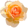 Rose orange style aquarelle