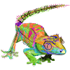 Love is Love Chameleon