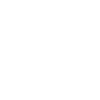 Pilot