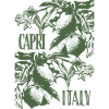 CAPRI ITALY