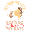 Ratte Hausratte Rattenbesitzer Rattenliebhaber