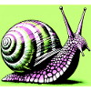 Snail