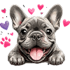 French Bulldog Love Hearts Sweetheart