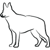 German Shepherd Sketch