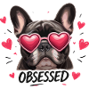 Obsessed dog with heart glasses