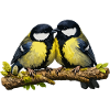 Great Pair on Branch