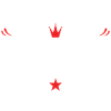 Politiker Beruf
