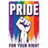 Pride Rainbow Right Statement Shirt