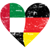 UAE Germany Heart Used