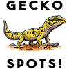 Gecko Leopard Bask Lizard Terrarium