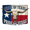 Texas Pride Horns Skull