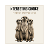 Interesting Choice Meerkat Trio