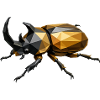 Geometrischer Goldkäfer