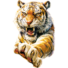 Cool Tiger