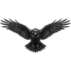 Raven