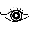 Auge_sw