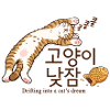 Schläfrige koreanische Katzen-Traum-Design