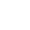 Funny Wombat