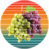 grape fruits