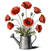Poppies in a watering can