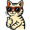 Cat with sunglasses and thumbs up
