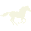 Jumping Stallion Silhouette