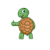 Turtle Balance - Chakra