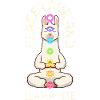 Chakra Humor - Llama Spirit Peace