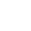 Cat Plays Guitar