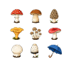 Comment identifier les champignons drôle