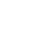 Master of disaster