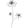 Filigrane Wildblume 