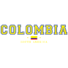 Colombia College Style Flag Look