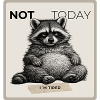 Not Today Raccoon Meme