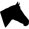 Tête de cheval