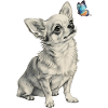 Chihuahua with Butterfly Dog Motif