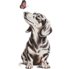 Dachshund with Butterfly Motif Dog Lover
