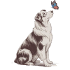 Motif papillon Border Collie