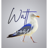 Wattvogel_3
