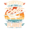 Ich überlebte meinen ersten Soloflug