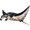 Geometric Manta Ray Art Print